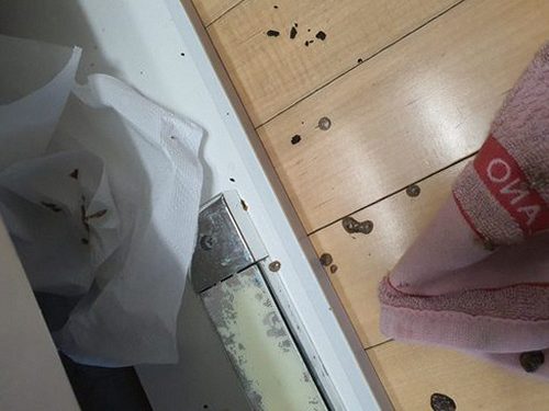 부평구 하수구막힘 배수 상태를 확인하는 점검 장면